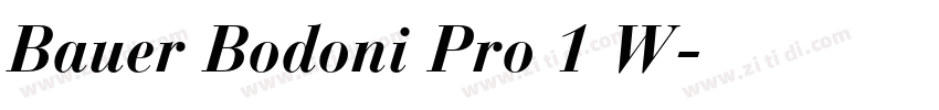 Bauer Bodoni Pro 1 W字体转换